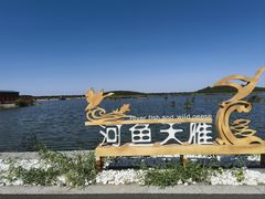 -南大港湿地风景区