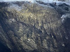 -秦岭终南山世界地质公园翠华山景区