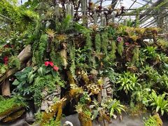-石家庄市植物园