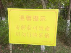 -火炉山森林公园