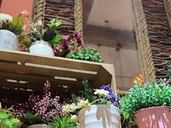 -清迈清迈巷口小排档(烟台山店)