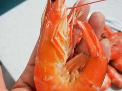 -鼓歌海鲜舫·手抓海鲜(大学城店)