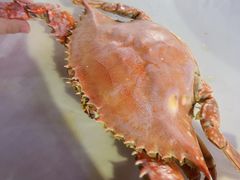 -日照大牌檔•小船海鲜(万平口店)