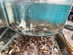 -仙螺岛海鲜自助餐厅(总店)