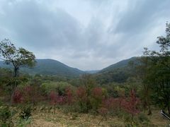 -南京老山国家森林公园