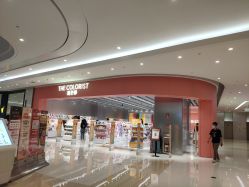 -THE COLORIST调色师