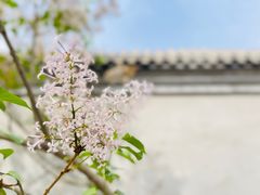 -三里河公园
