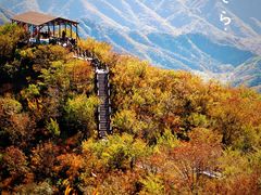 -大岭沟猕猴桃谷风景区