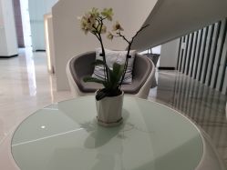 -AiCure 埃可儿·韩国医学皮肤管理