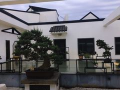 -稍可轩博物馆餐厅