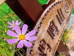 -鸡鸣山旅游景区