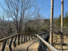 -白水寺森林公园
