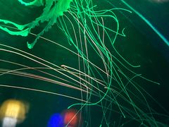 -太平洋海底世界