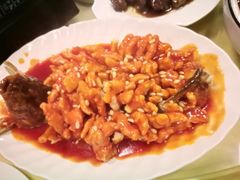 -新锦路青年公寓餐厅