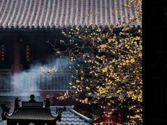 -灵谷景区