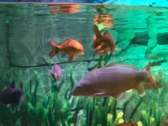 -沈阳海洋探索中心