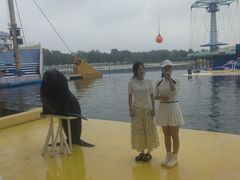 -秦皇岛乐岛海洋王国