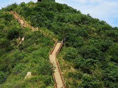 -大岭沟猕猴桃谷风景区