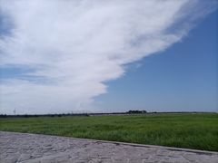 -南汇嘴观海公园