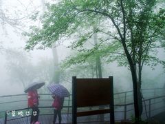 -沂蒙山旅游区云蒙景区(蒙山国家森林公园)