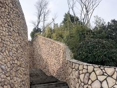 -桐乡凤凰湖