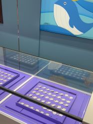 -五洲金行FIDIMO(五洲黄金大厦店)