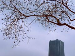 -上海山野camping·户外天幕烧烤·团建拓展营地