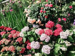 -人民公园(罗湖区)