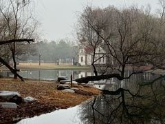 -上海共青森林公园