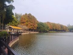 -鹿鸣酒家(越秀店)
