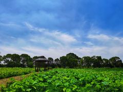 -嘉北郊野公园
