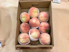-北京饭店