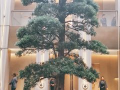 -外滩·云南人家(昆明旗舰店)