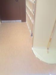 -奈尔宝·国风主题儿童乐园·亲子餐厅(豫园商城店)