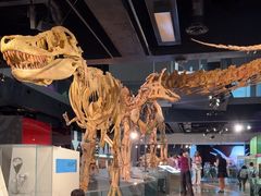 -墨尔本博物馆(Melbourne Museum)