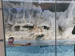 -帝企鹅自助餐厅•儿童岛•真企鹅(长隆企鹅酒店)