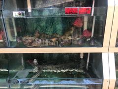 水产区-悦来酒家·正宗闽南菜(西街店)
