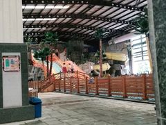 -南宫温泉水世界