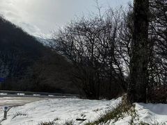 -秦岭风景区