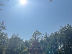 -曼听御花园