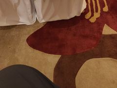 -广州万富希尔顿酒店·感趣自助餐厅·金秋蟹宴生蚝海鲜刺身烧烤