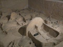 -洛阳周王城天子驾六博物馆