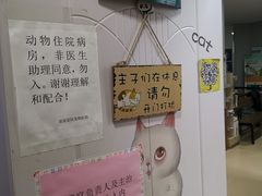 -瑞派雷欧宠物医院·24h夜诊·心脏骨科牙科·全科重症转诊中心(无影山店)