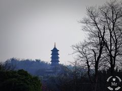 -重庆园博园