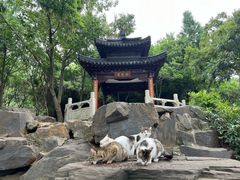 -无锡蠡湖国家湿地公园-蠡园
