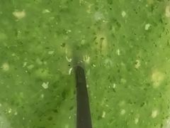 -老湘亲·品鉴湘菜(蔡塘爱琴海店)