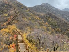 -大岭沟猕猴桃谷风景区