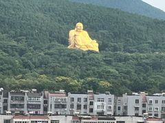-山东省千佛山医院