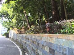 -广州市流溪河国家森林公园