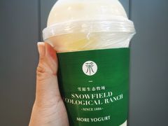 -茉酸奶(春熙路店)